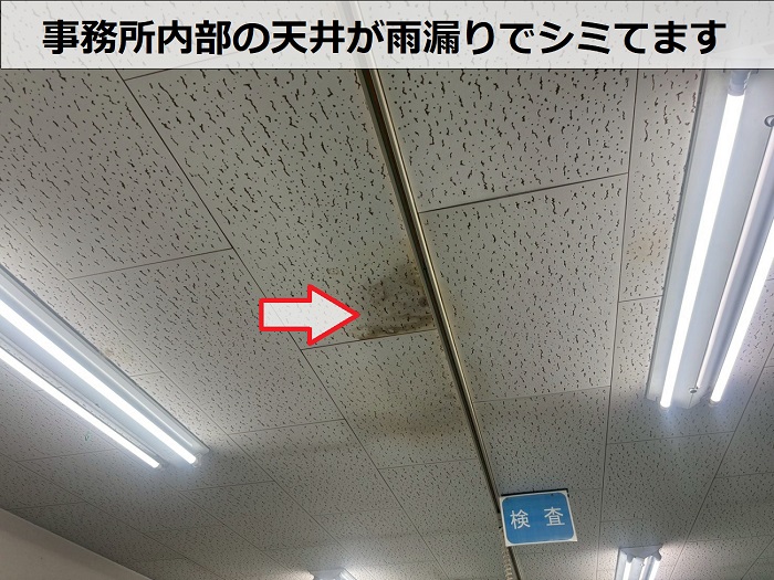 雨漏りで天井がしみている様子